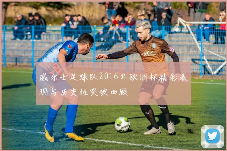 威尔士足球队2016年欧洲杯精彩表现与历史性突破回顾