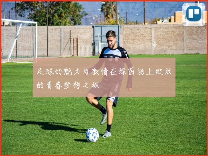 足球的魅力与激情在绿茵场上绽放的青春梦想之旅