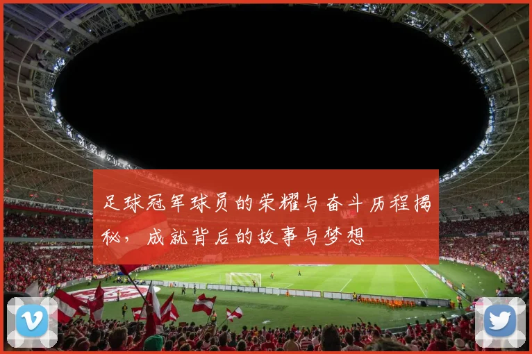 足球冠军球员的荣耀与奋斗历程揭秘，成就背后的故事与梦想