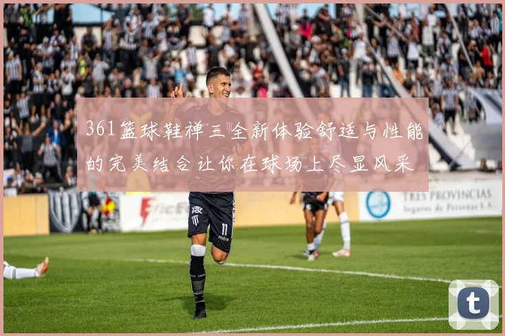 361篮球鞋禅三全新体验舒适与性能的完美结合让你在球场上尽显风采