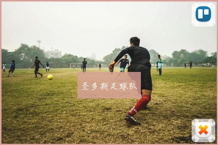 圣多斯足球队