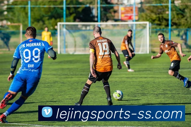 乐竟官网平台生态图